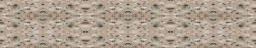 Staron-083